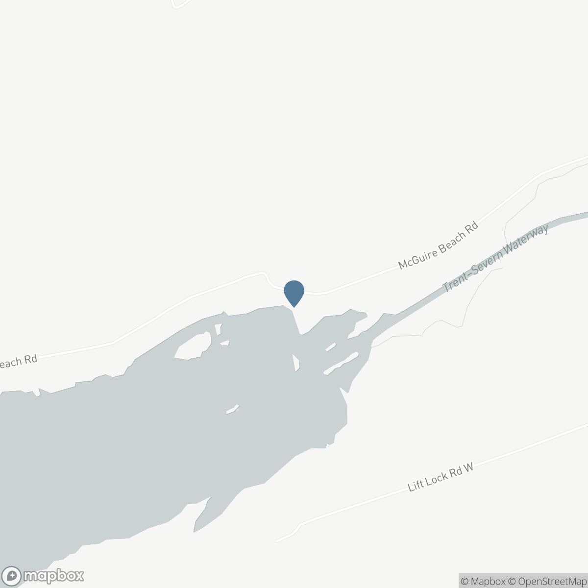 81 MCGUIRE BEACH ROAD, Kawartha Lakes, Ontario K0M 2B0